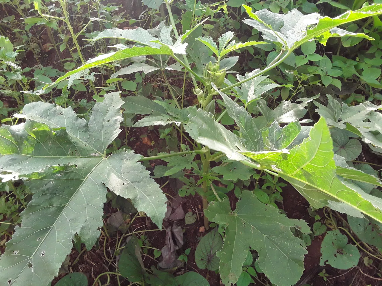 20230819_175115.jpg