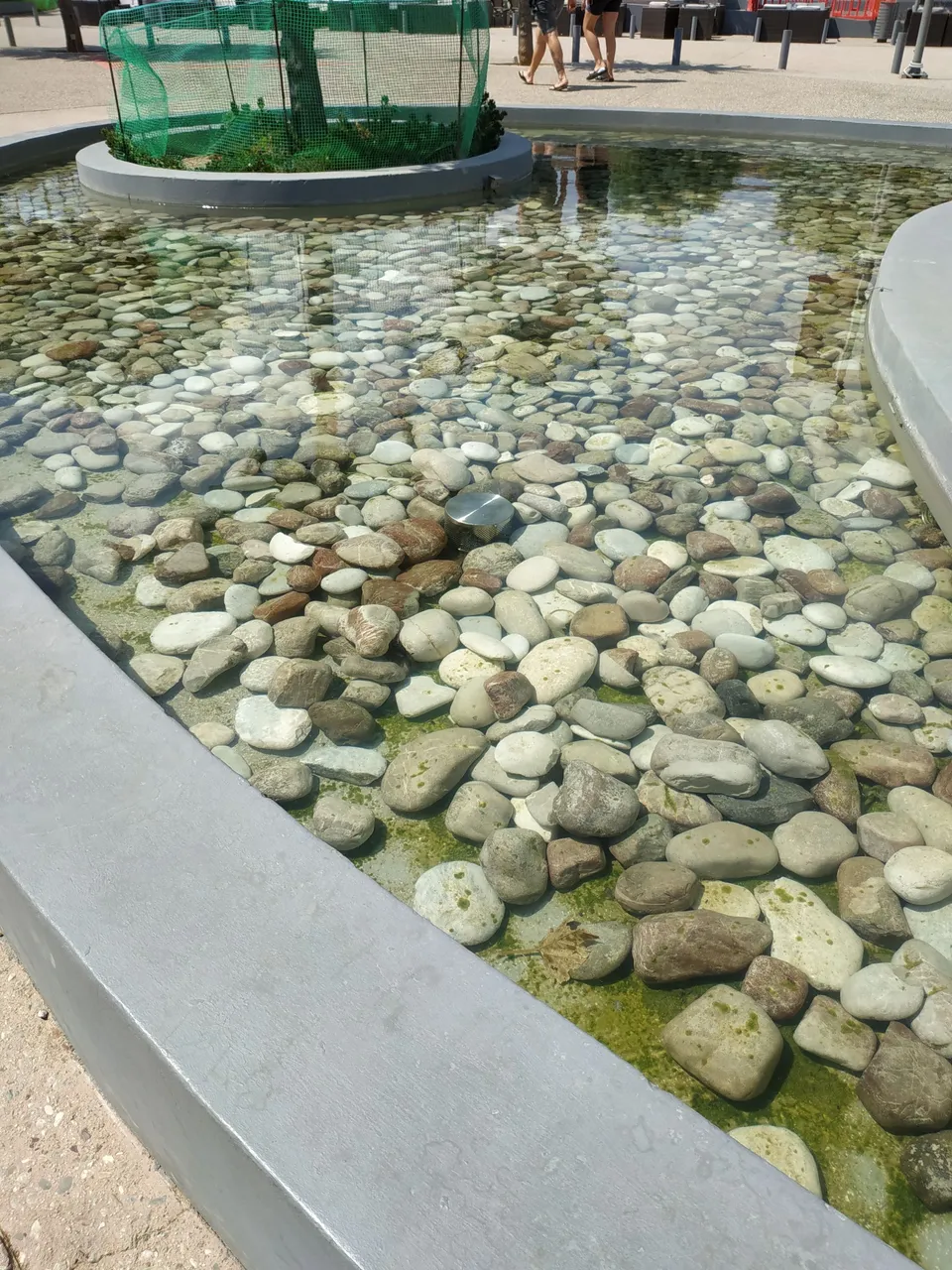 IMG_20210831_134328.jpg