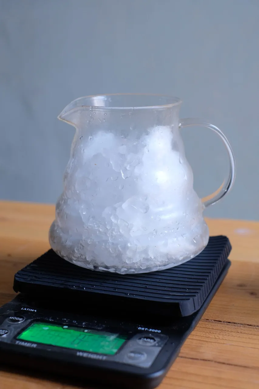 300gr ice cube