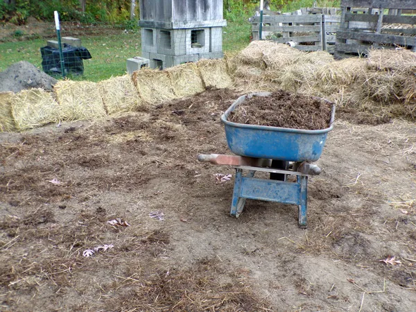 Small garden  spreading inoculant crop Oct. 2020.jpg