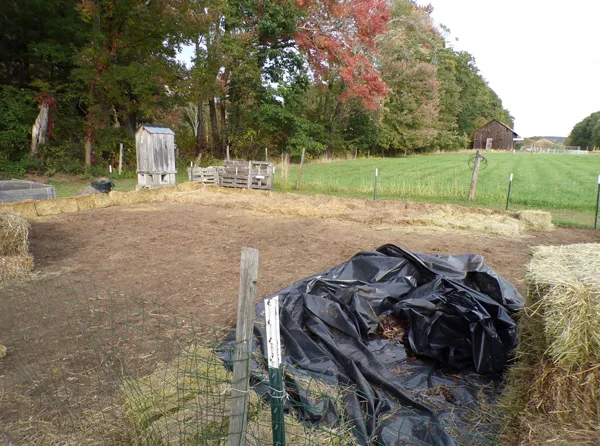 Small garden  some mulching done crop Oct. 2020.jpg