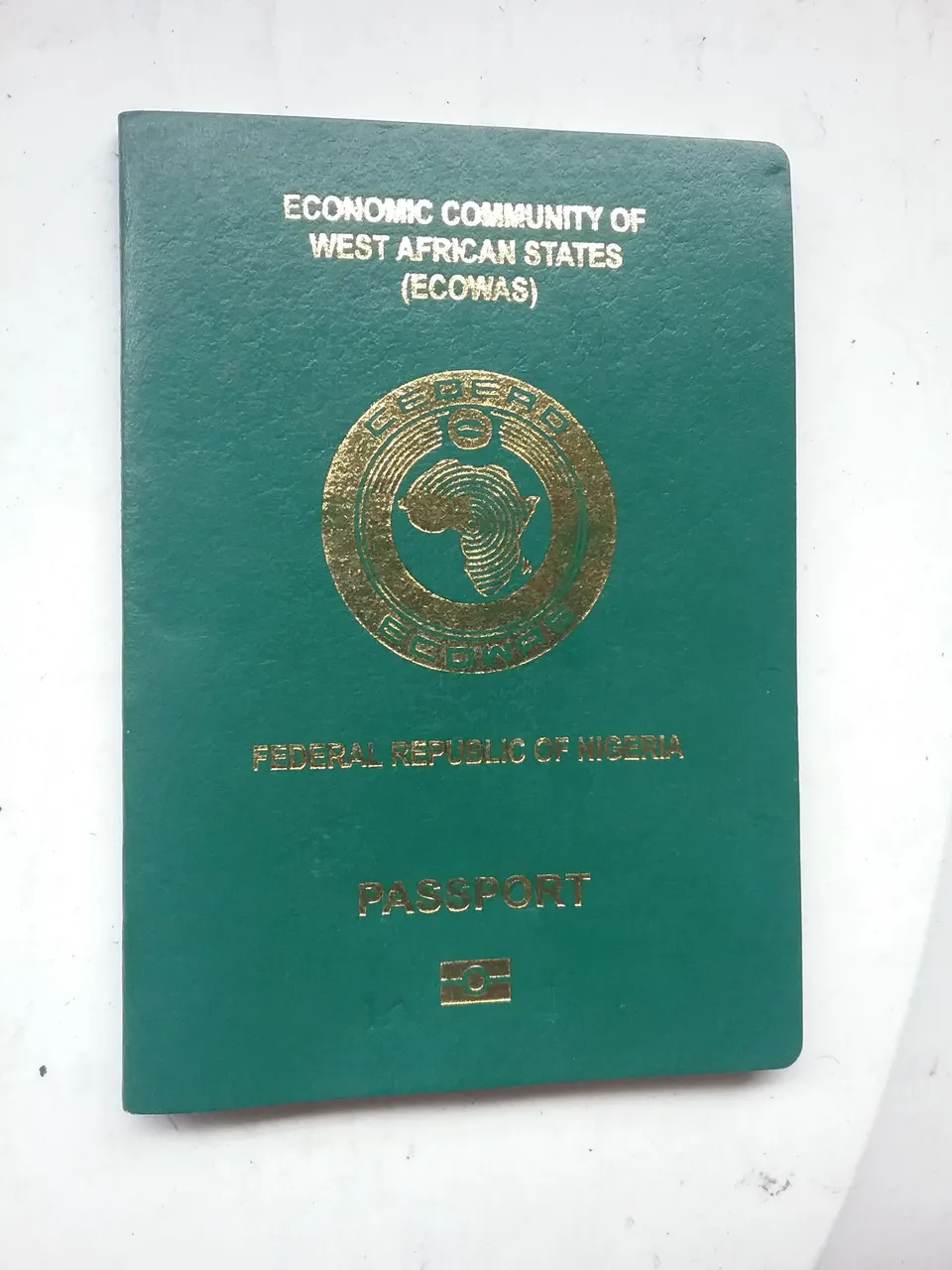 1653998669411-1450075981.jpg