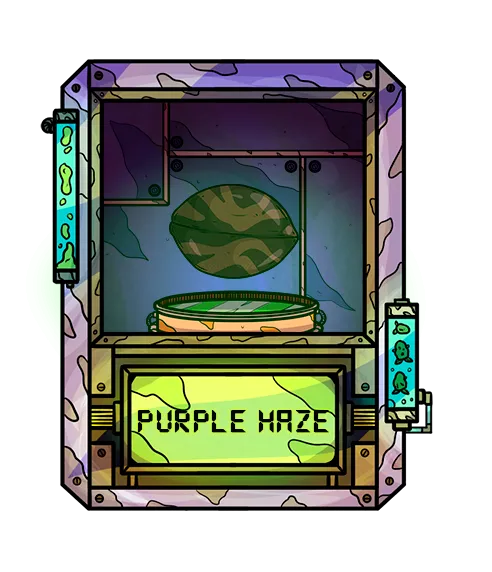 Purple Haze.png
