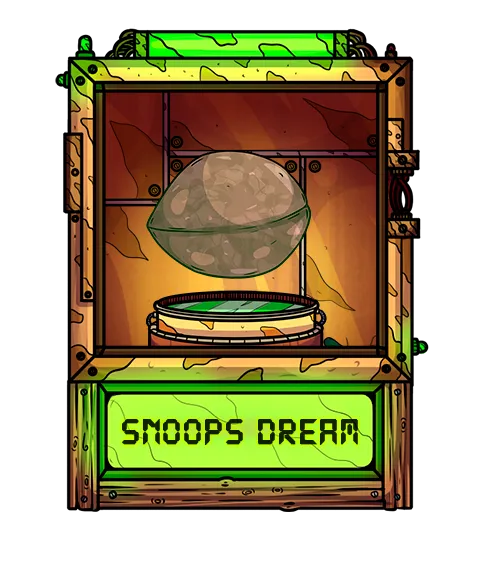 Snoops Dream.png
