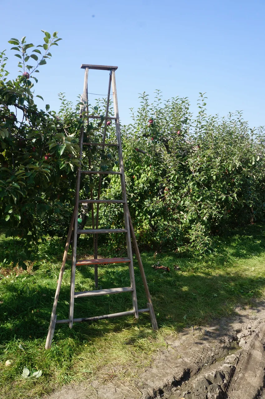 DSC04095.JPG