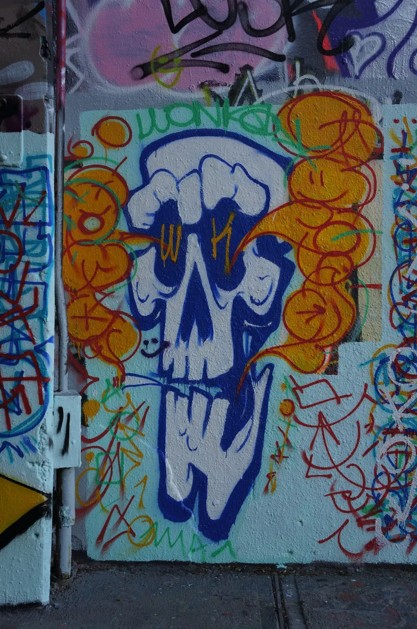 DSC07990.JPG