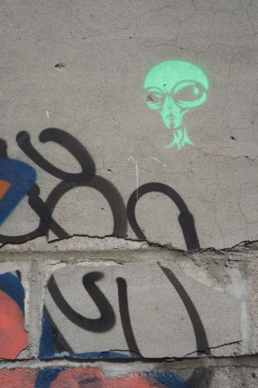 DSC03075.JPG