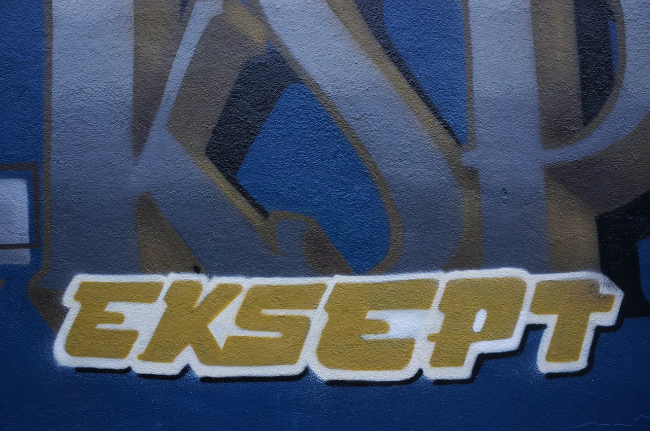 DSC02300.JPG