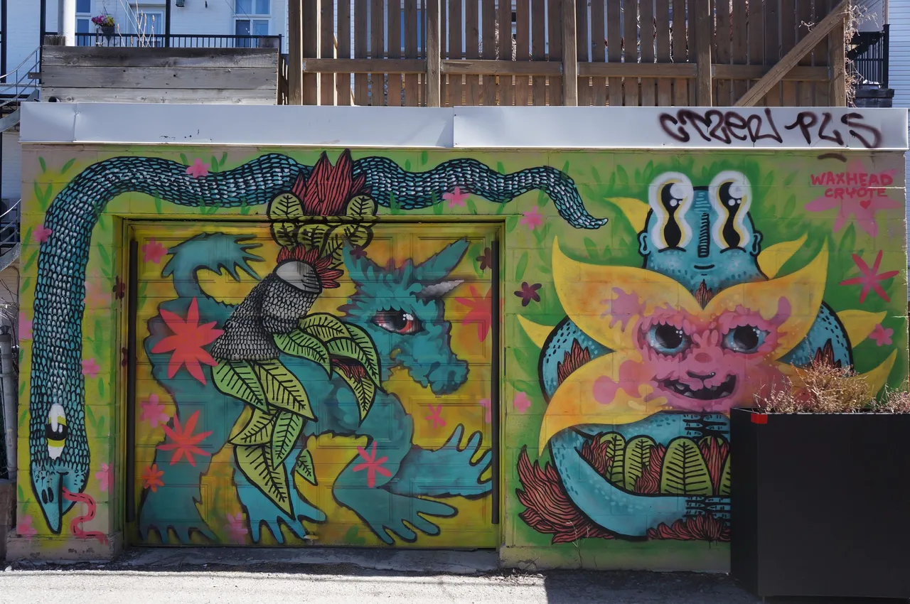 166 - Waxhead & Cryote ruelle Mont Royal.jpg