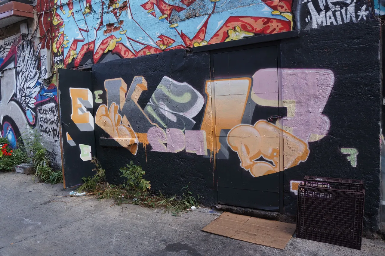 801 - EkSpet sur Graffiti Alley.jpg