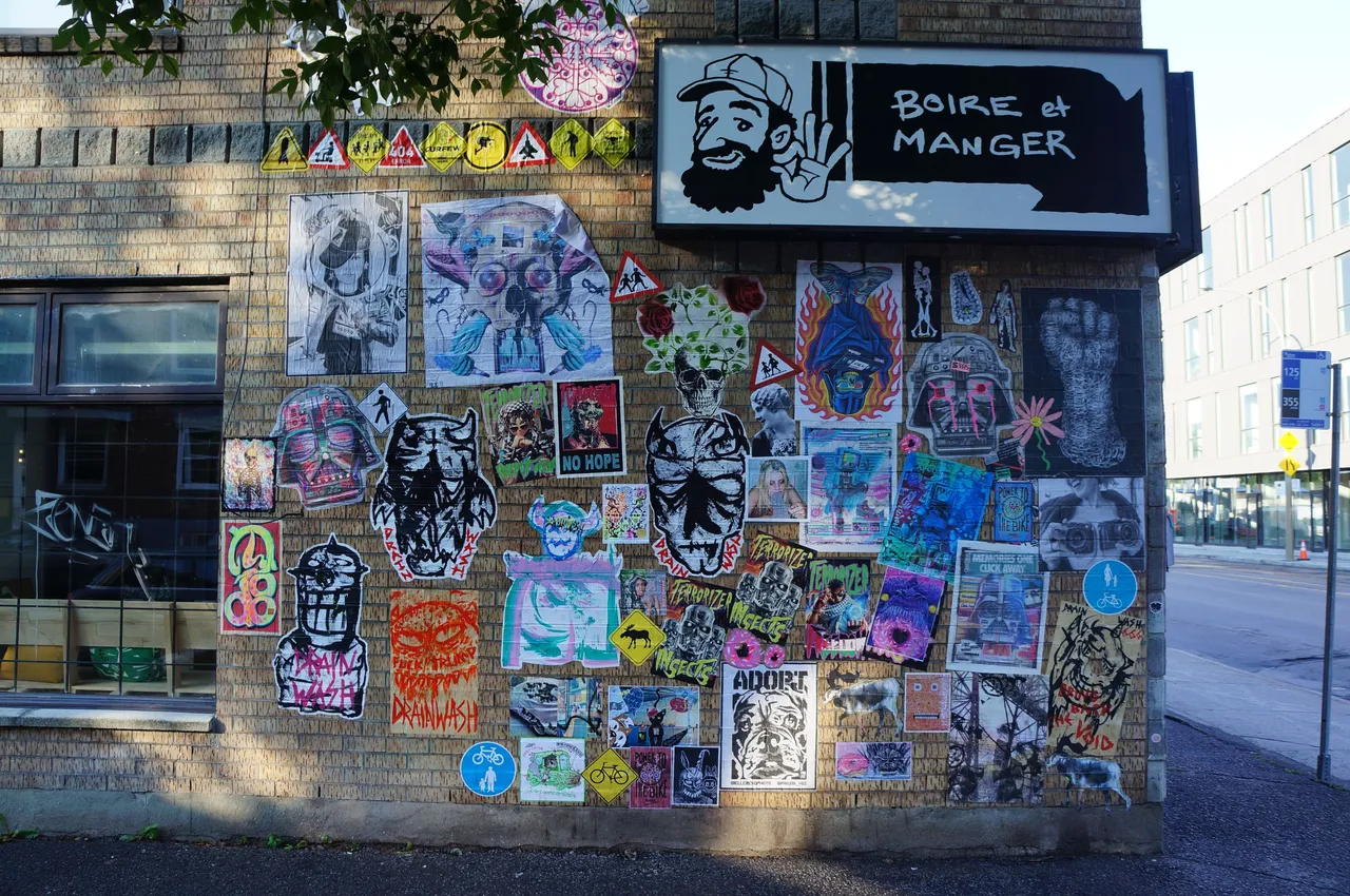 DSC08364.JPG