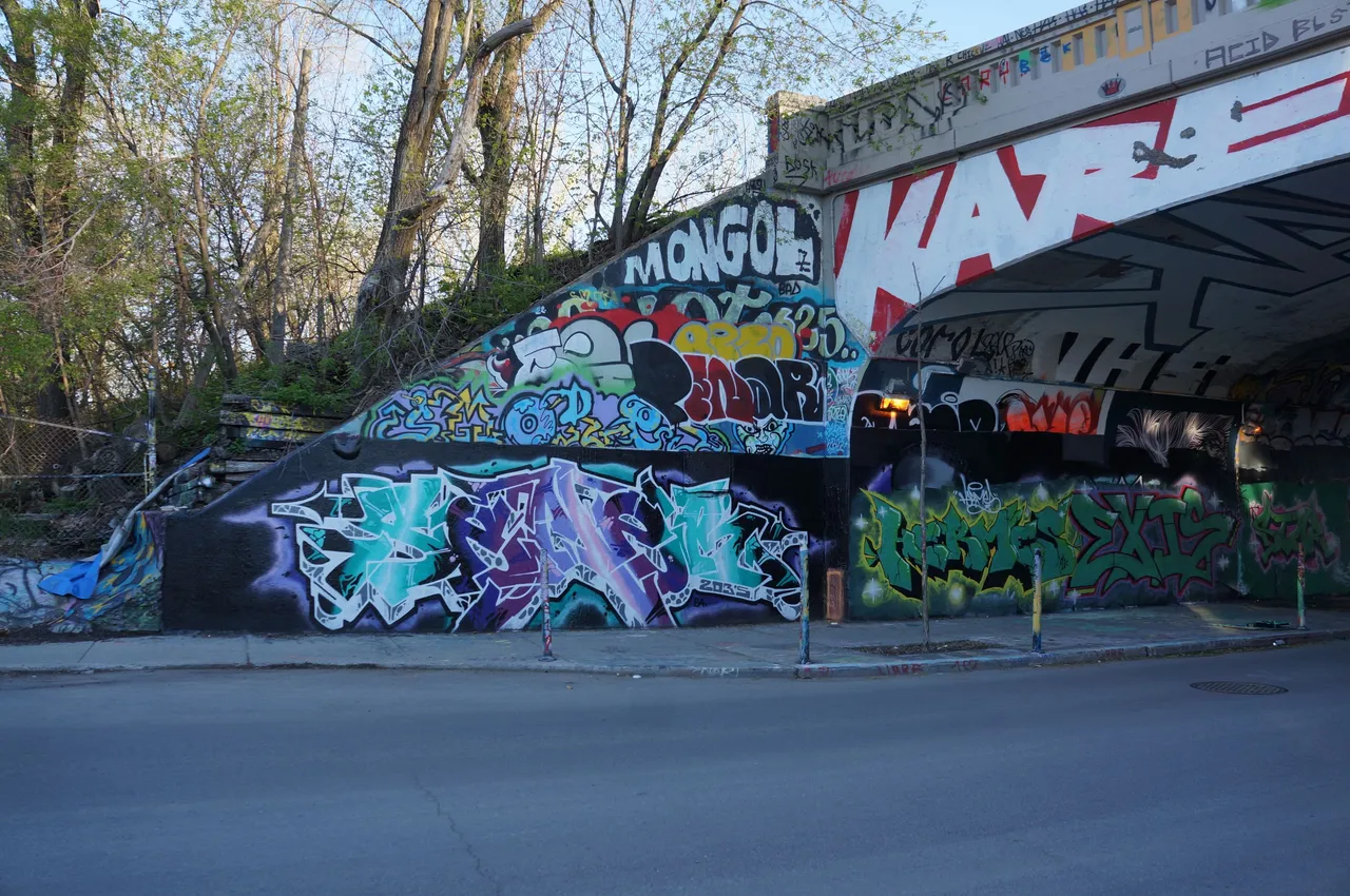 DSC05213.JPG