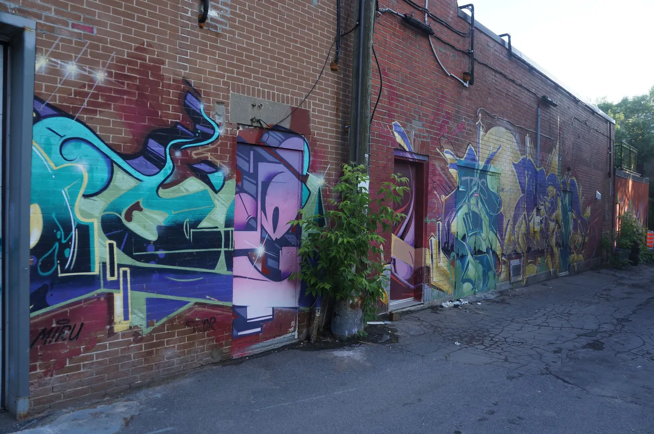 161 - Inconnu sur Ontario.jpg