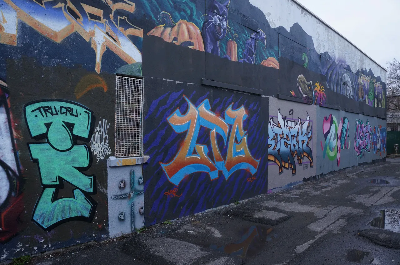 DSC02287.JPG