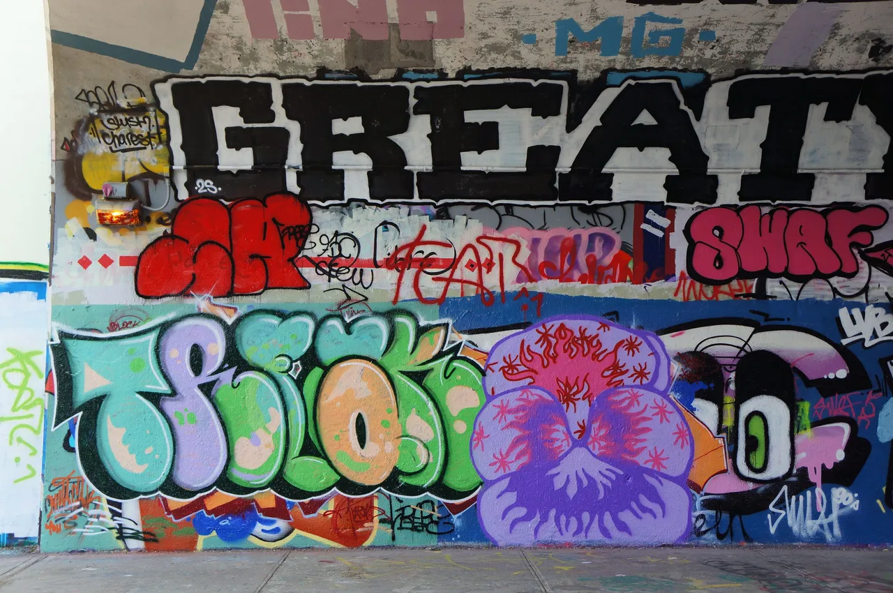 DSC08075.JPG