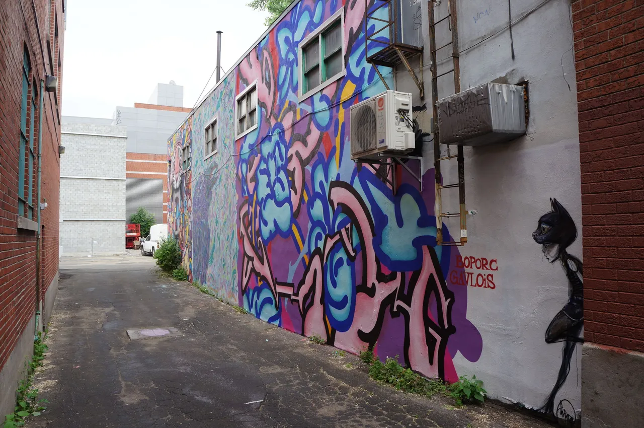 DSC08187.JPG
