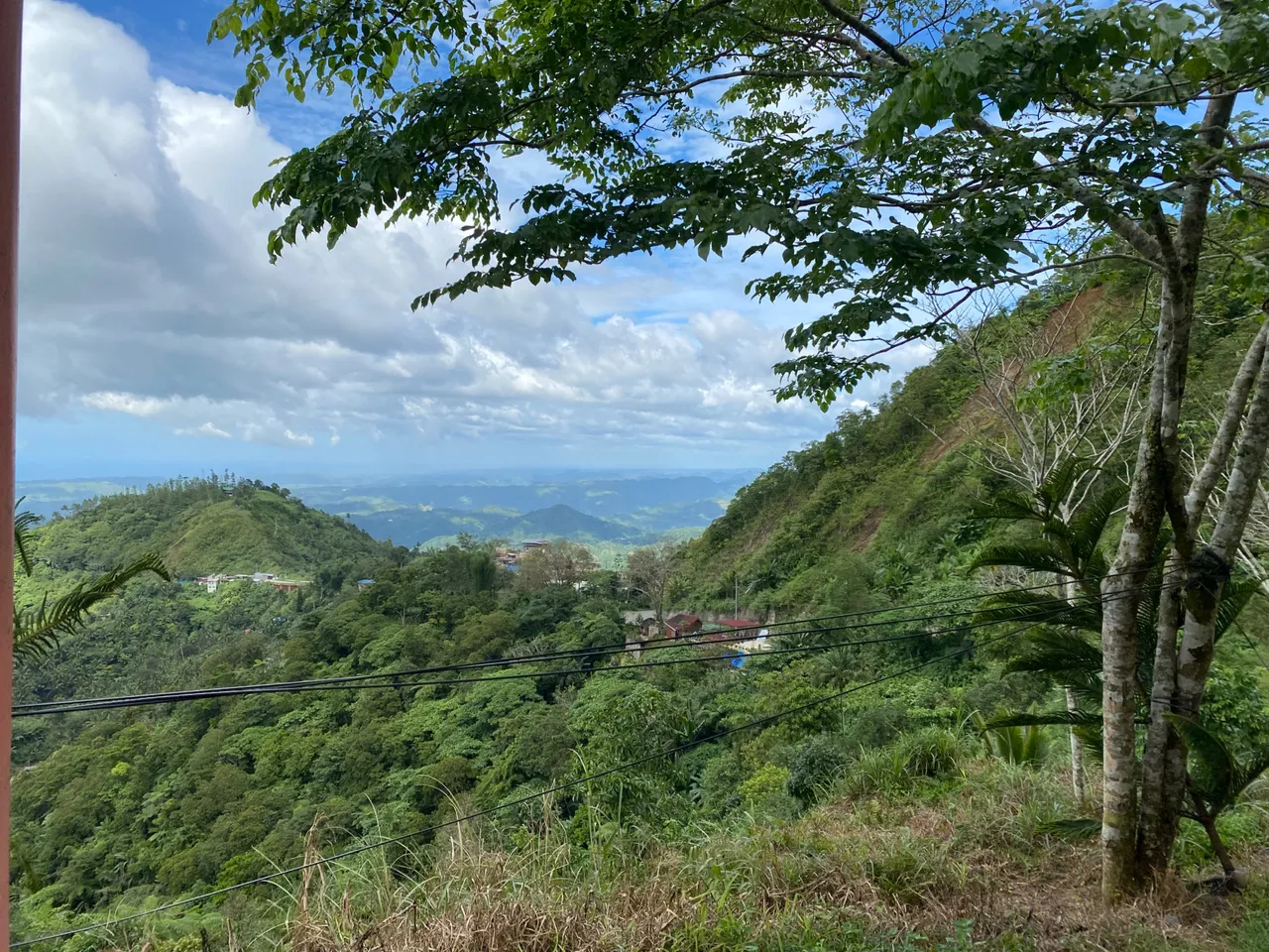 265028F5-2DF3-4339-A88A-6566F70417AF.jpeg