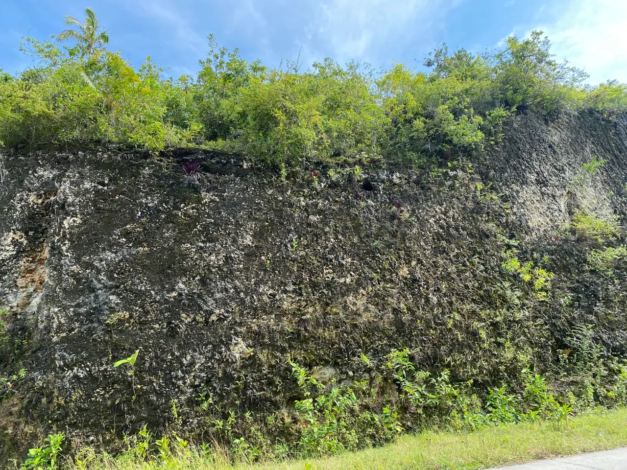419B3366-472E-4F20-A80D-61B039E70275.jpeg