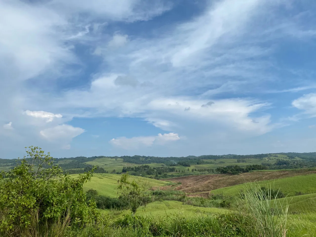 F02539BE-6B03-4C6F-B6D0-C9C66E2BF01C.jpeg