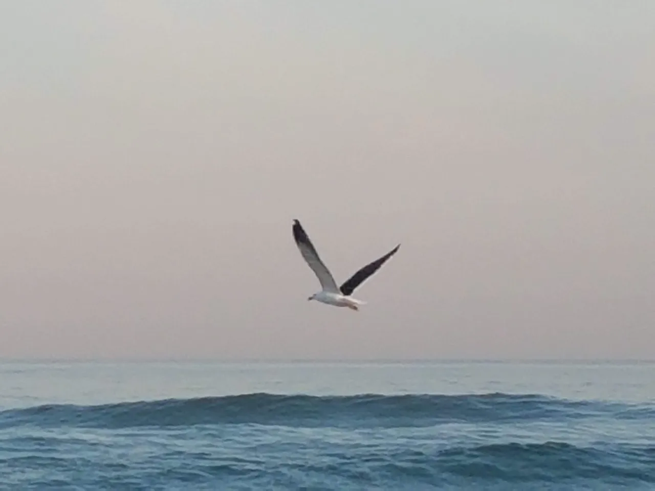 20180725_163621.jpg