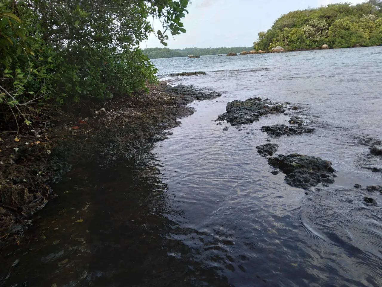 20230730_163242.jpg