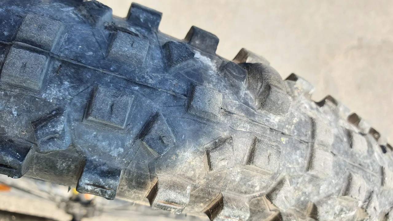 20220504_125351.jpg