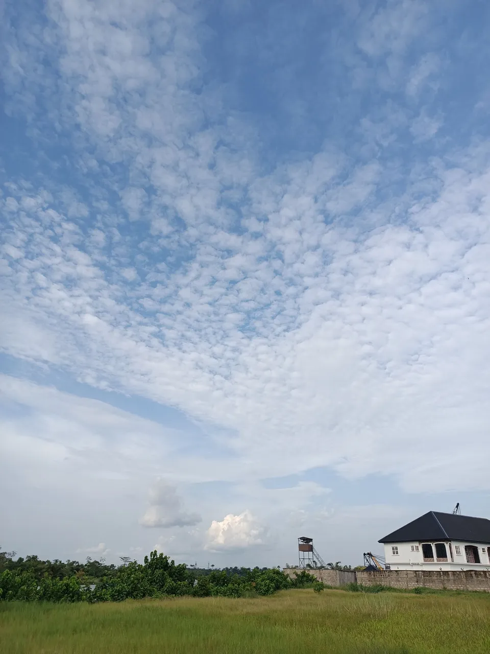 IMG_20220601_170049.jpg