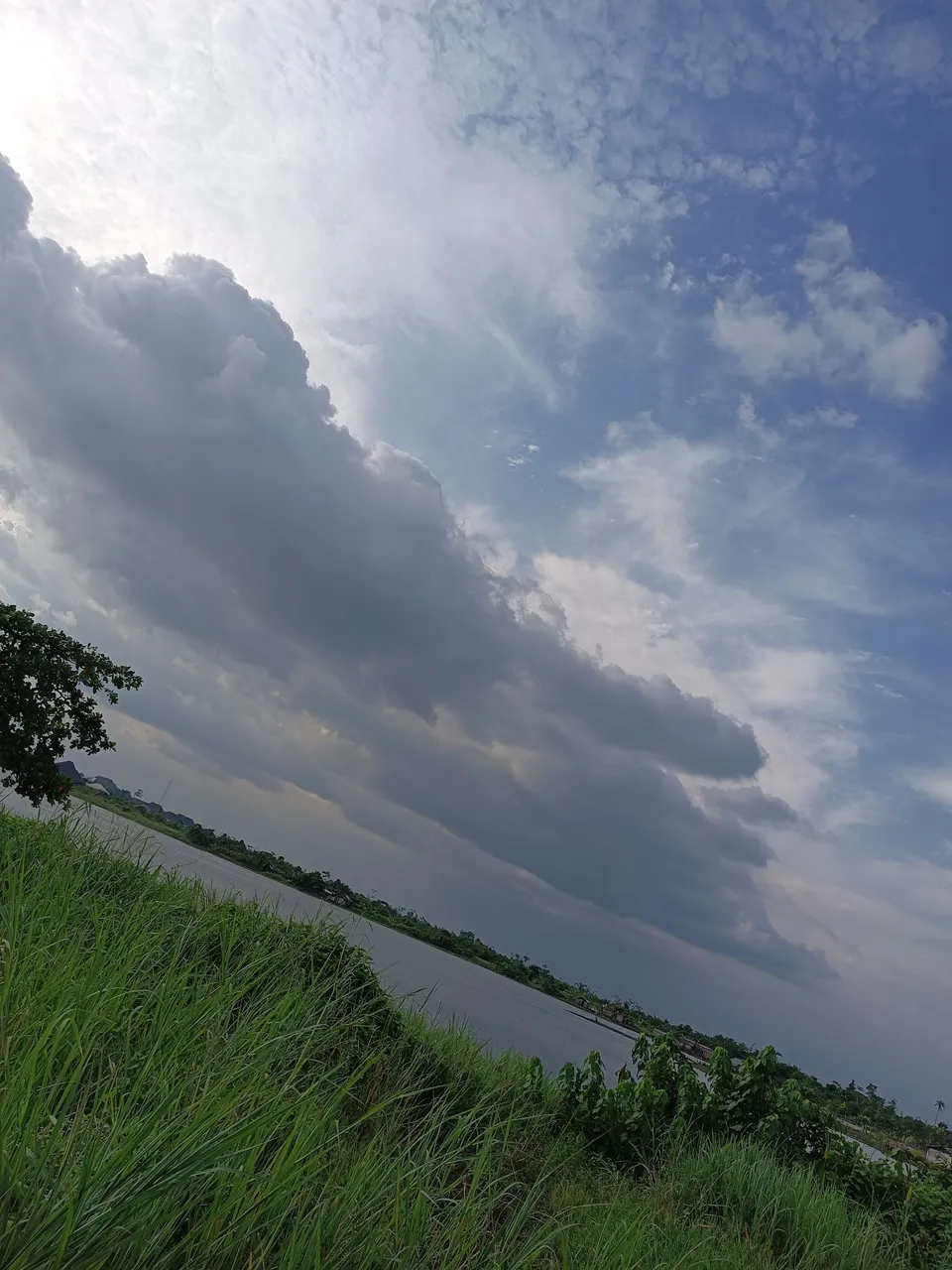 IMG_20220601_170117.jpg