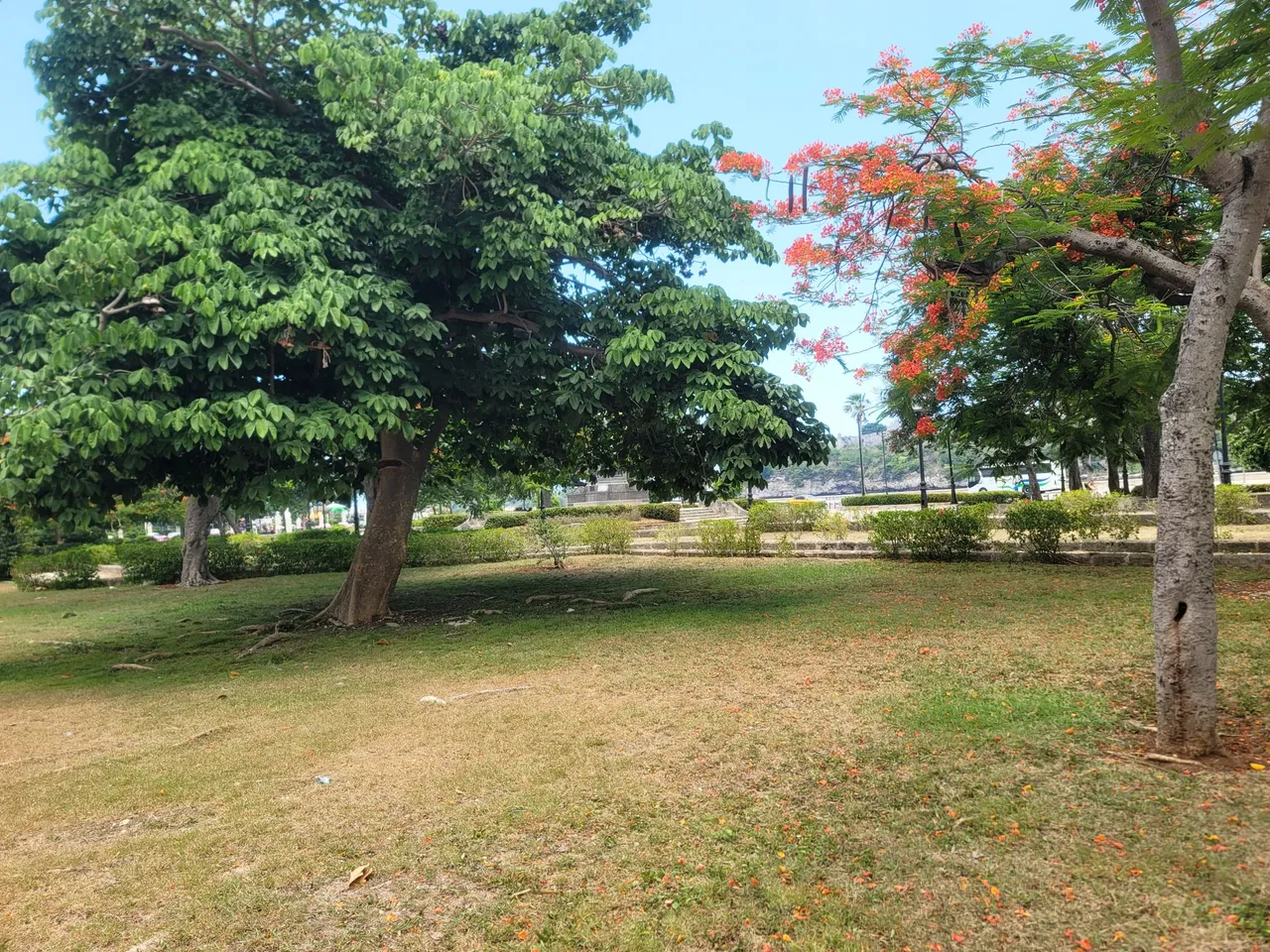 InShot_20250805_221659854.jpg