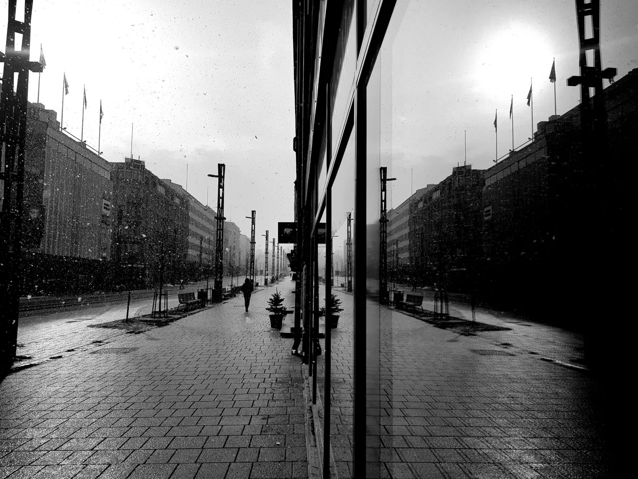 20220403_165051.jpg
