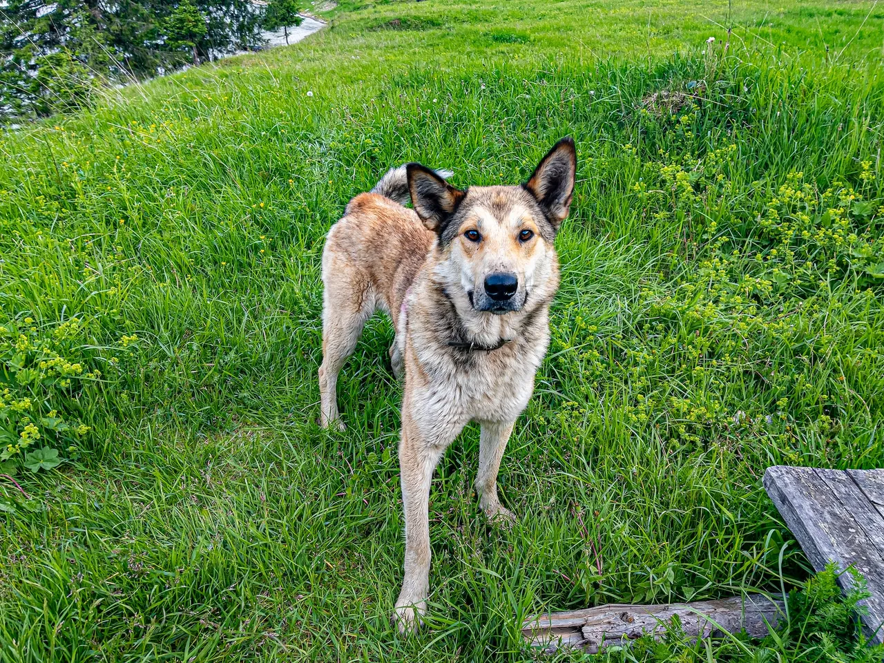 vyacheslav-makushin-EBUZTvNt_F0-unsplash.jpg