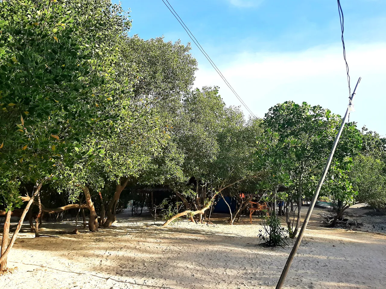 20250331_165939.jpg