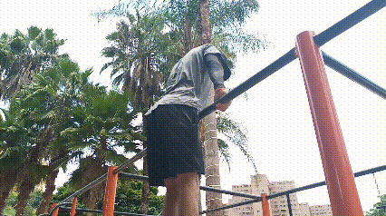 2.gif