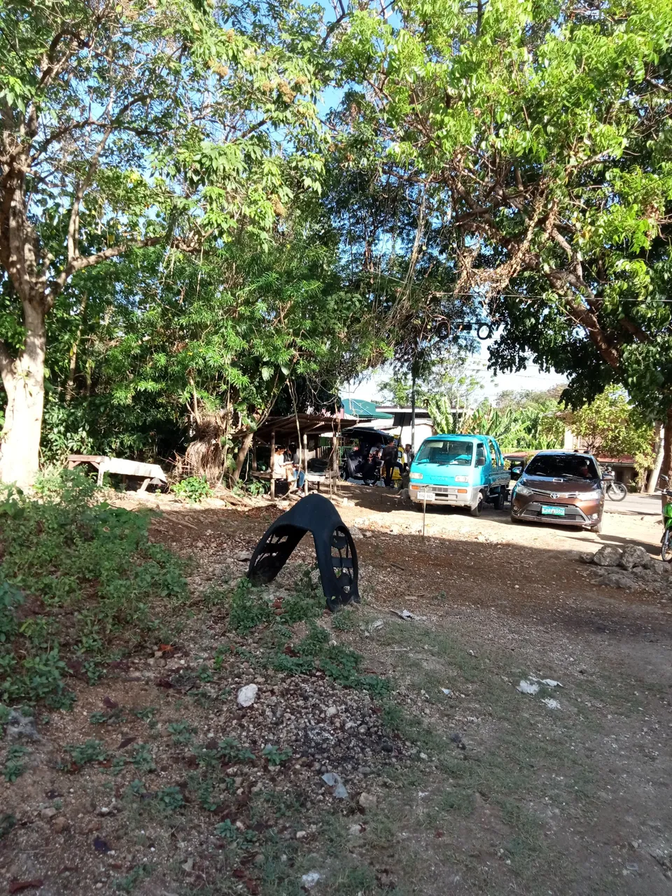 IMG20240325073156.jpg