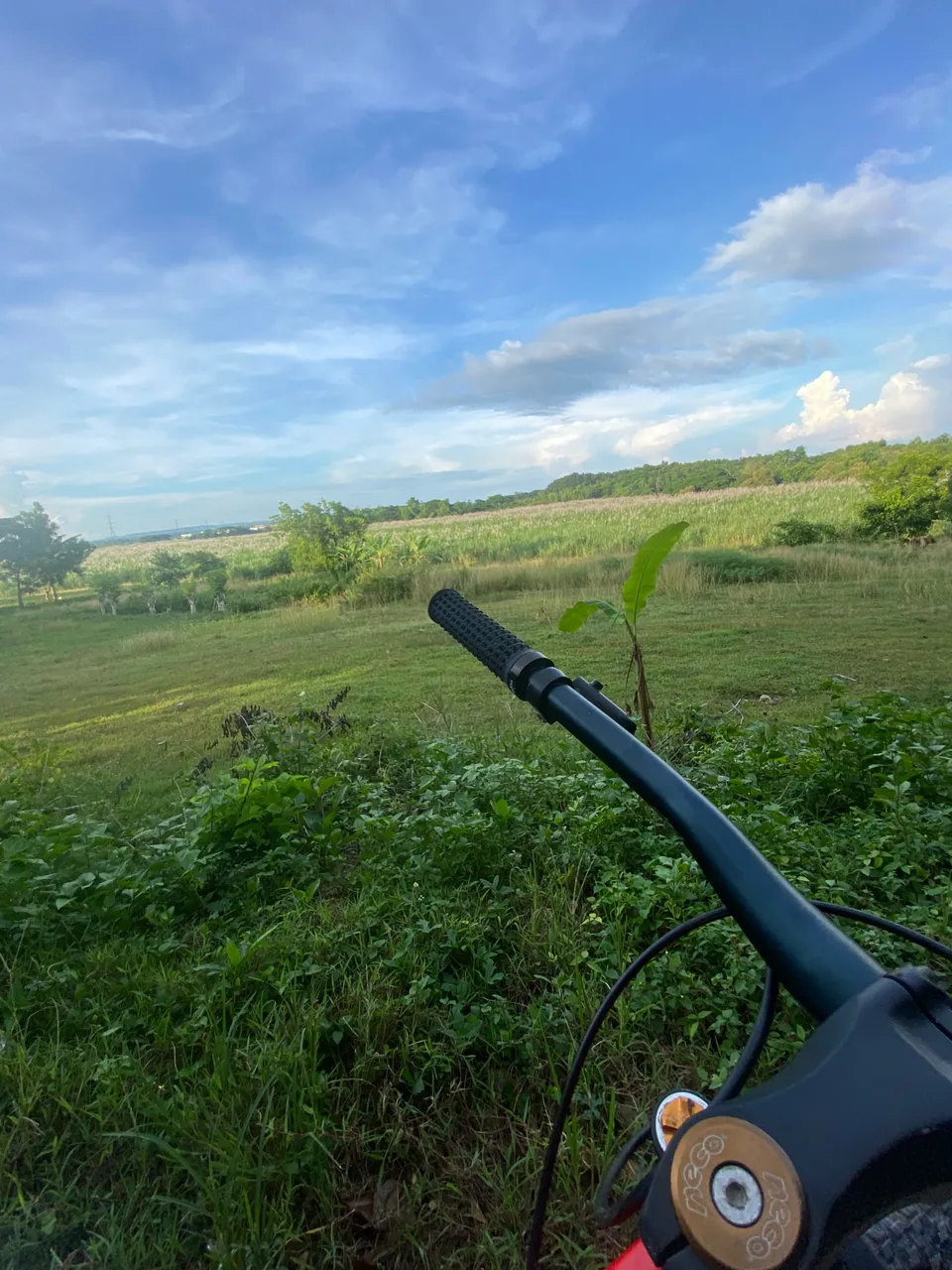 IMG_6943.jpeg