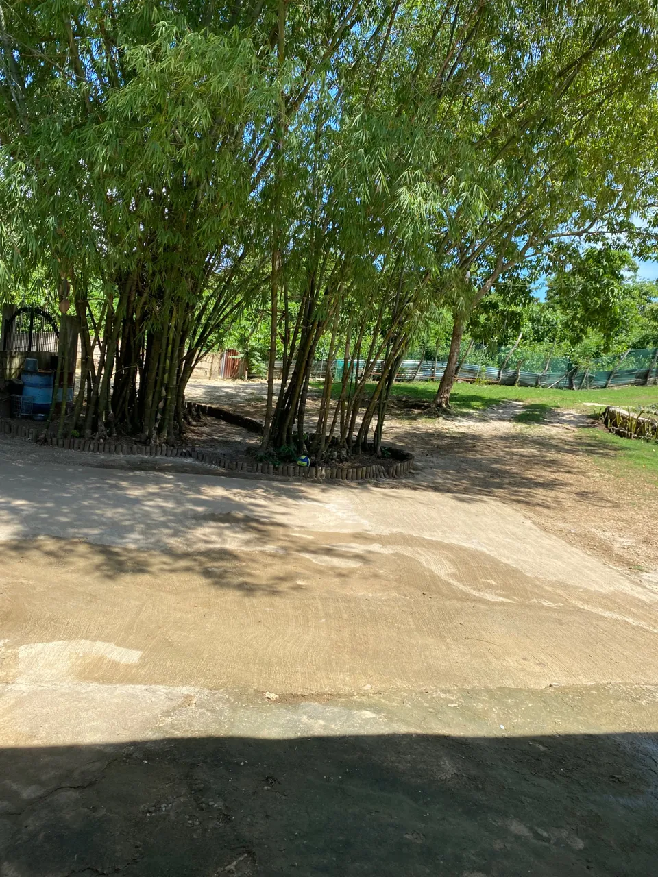IMG_9319.jpeg