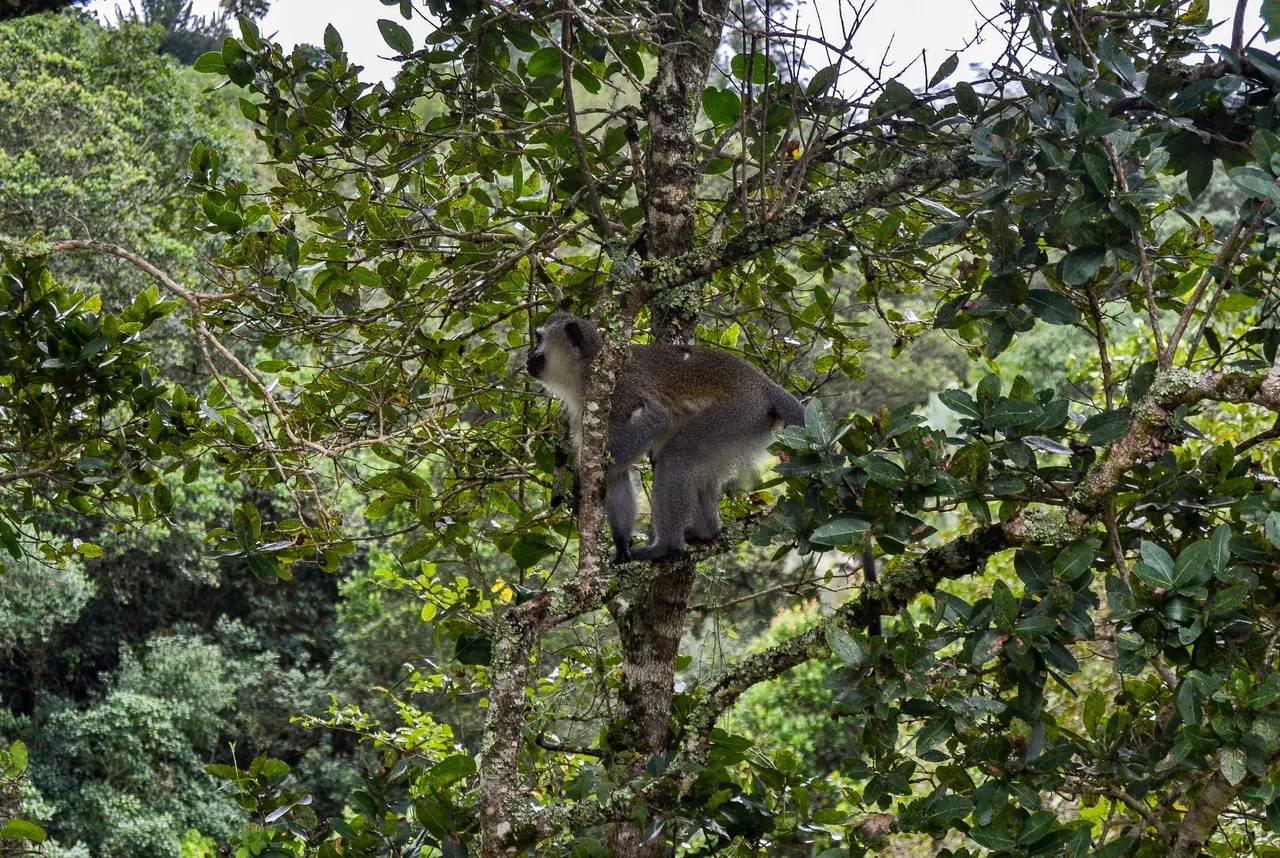 DSC_2228.jpg