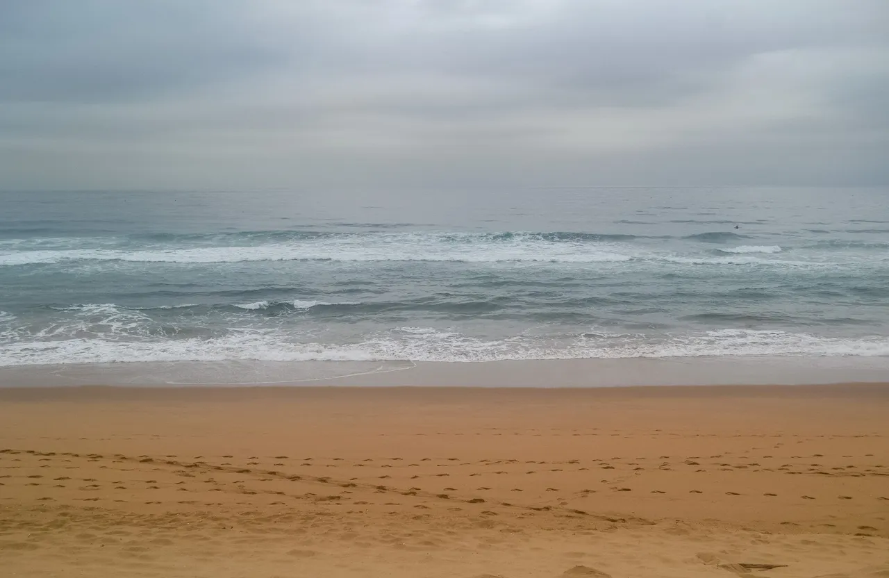 DSC_8595.jpg