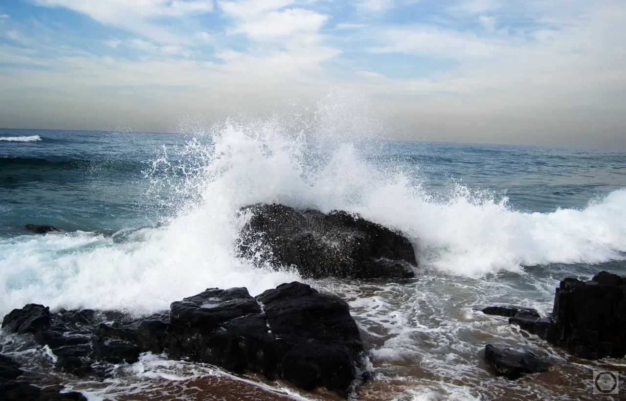 DSC_2498.jpg