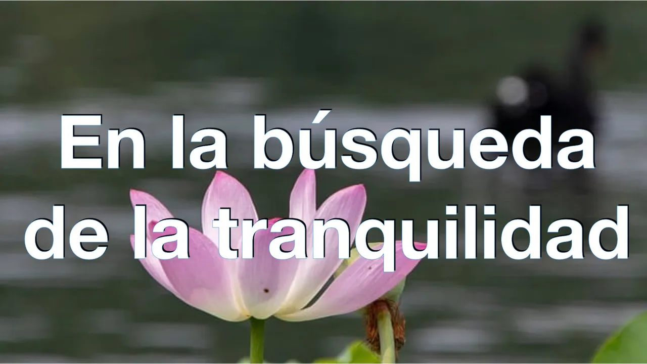 Busca tranquilidad.001.jpeg