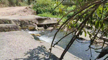images.hive.gif