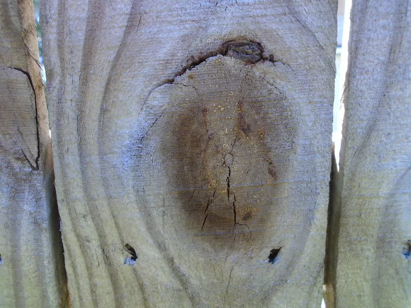 knot4.jpg