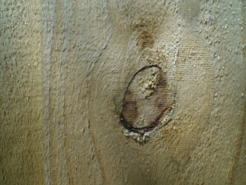 knot1.jpg