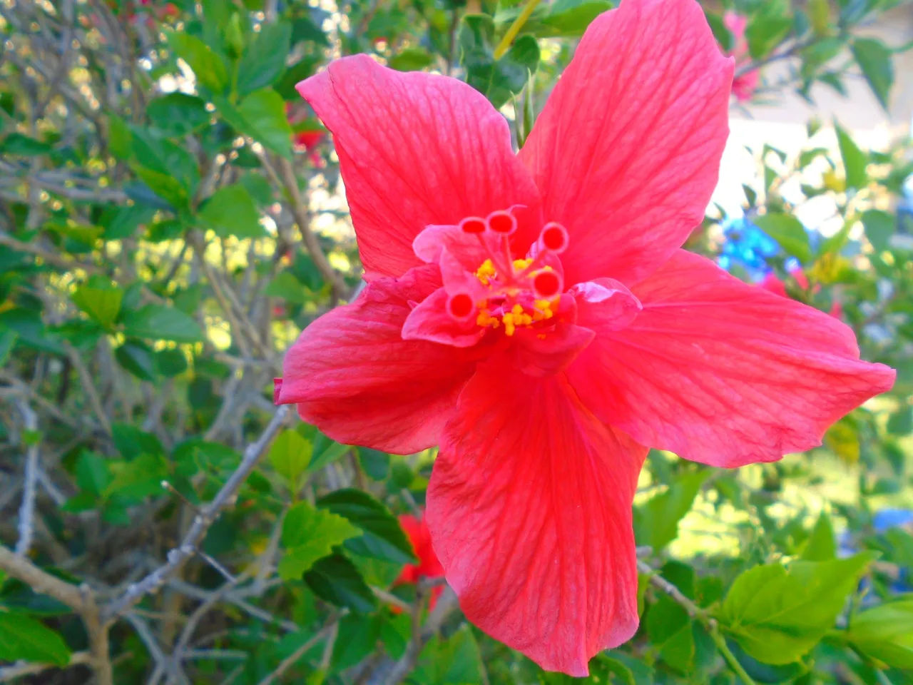 DSC02461.JPG