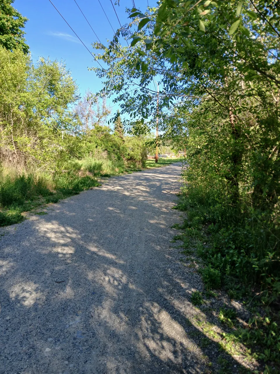20240605_181238.jpg