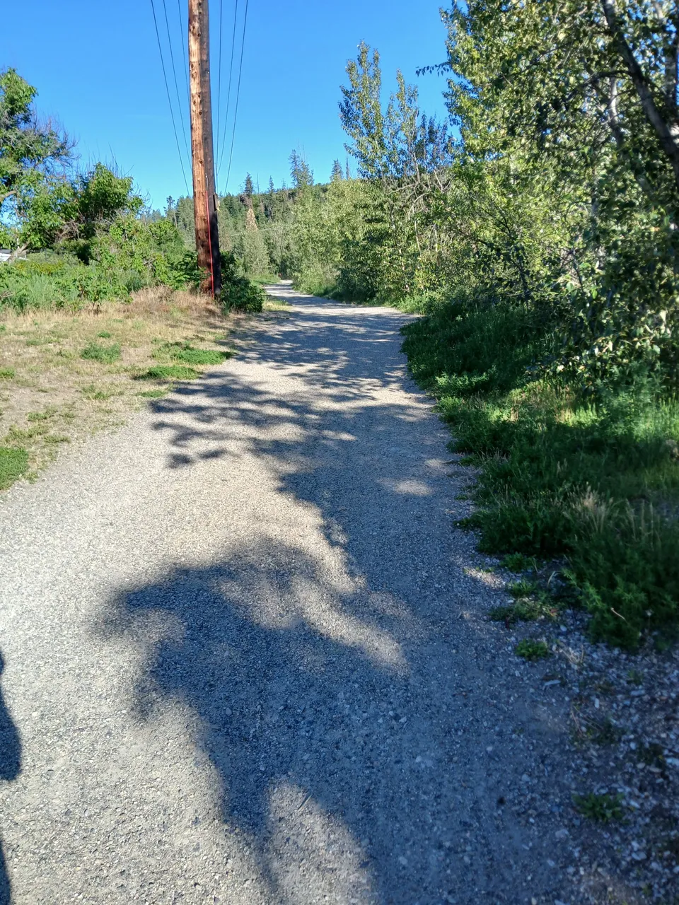 20240605_181655.jpg