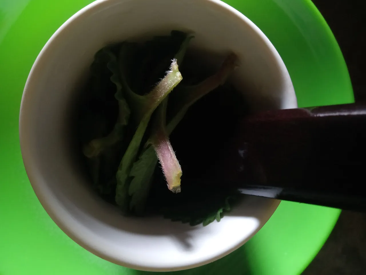 IMG20221017091344.jpg