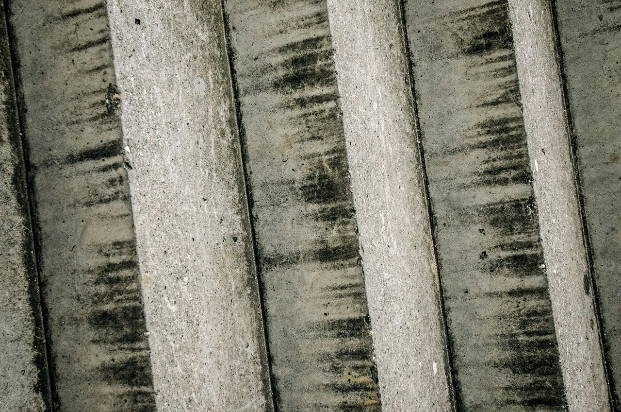 T11.jpg