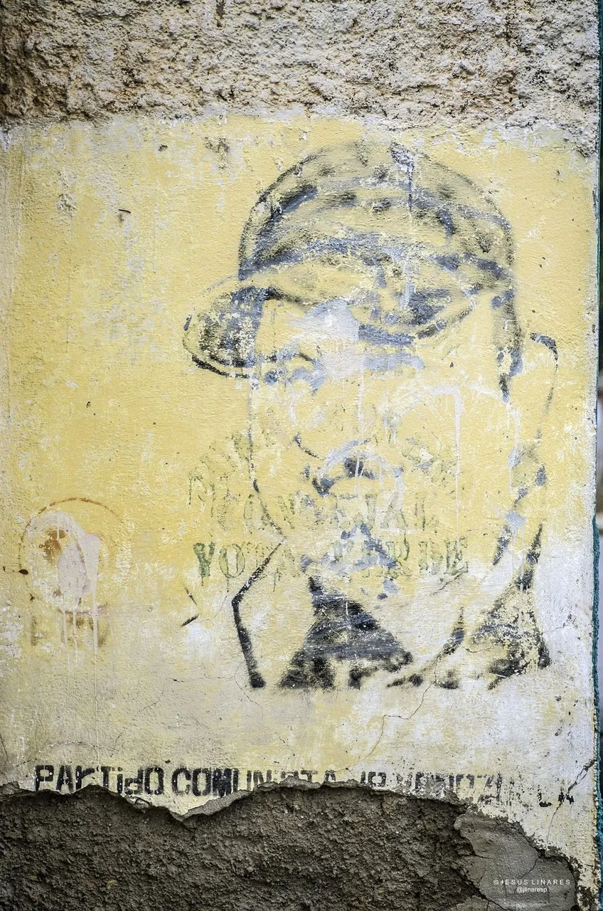 T12.jpg