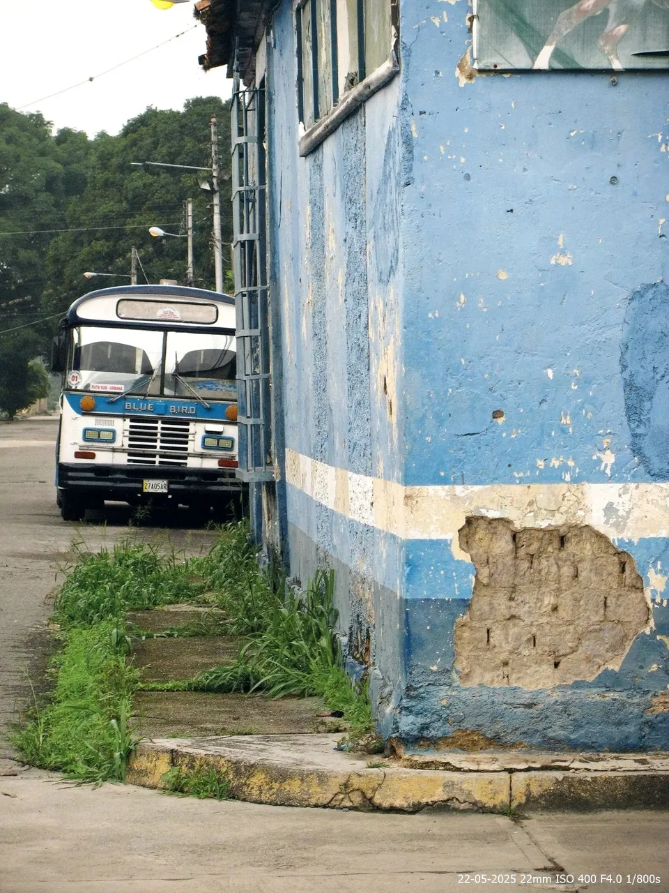 T05.jpg